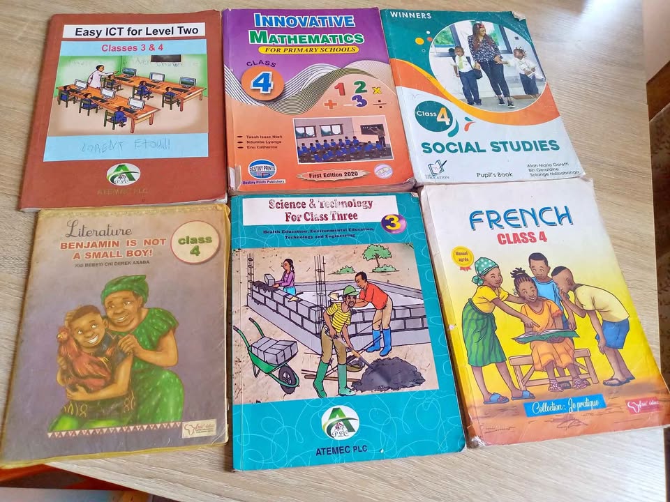 Livres anglophone vendre