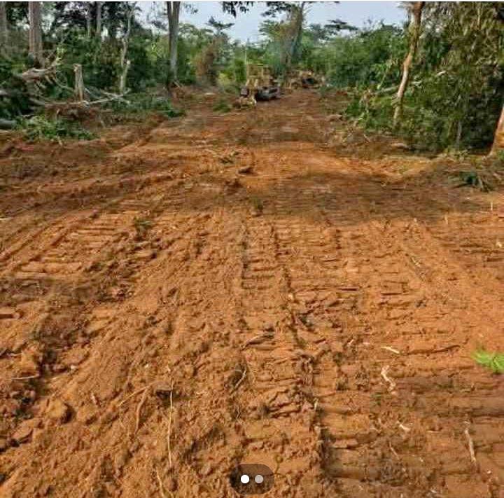 Terrain titré à vendre à Bomono,Bwassalo, près l'autoroute qui le relie à Bonamoussadi