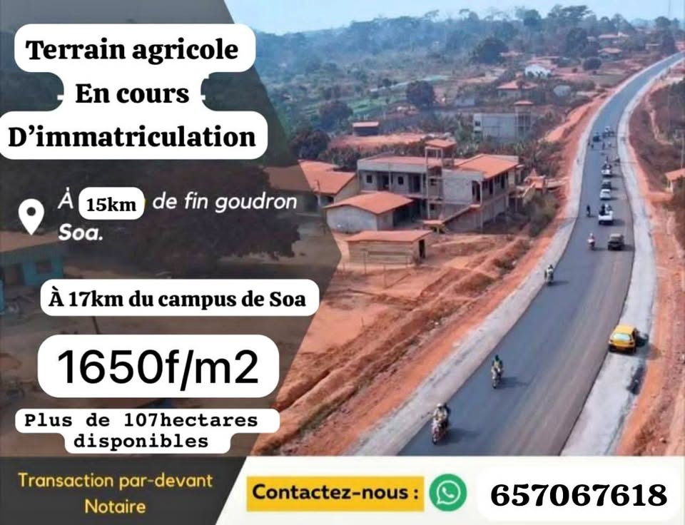 Terrain agricole en cours d'immatriculation à Soa