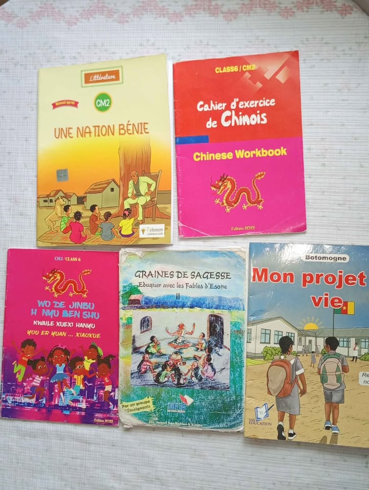 Tous les livres du CM2 en solde